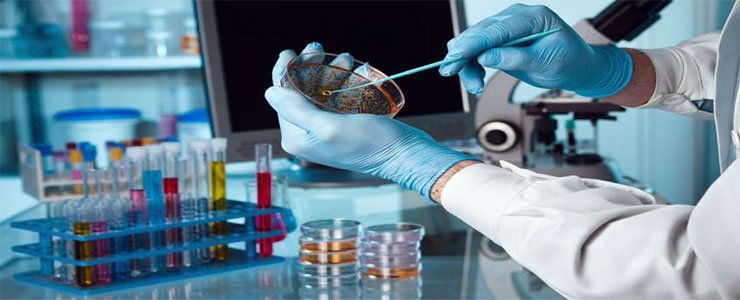 Biotechnology & Microbiology Labs